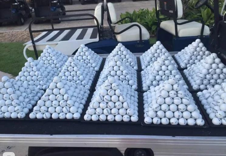 Photos For Perfectionists (17 pics)