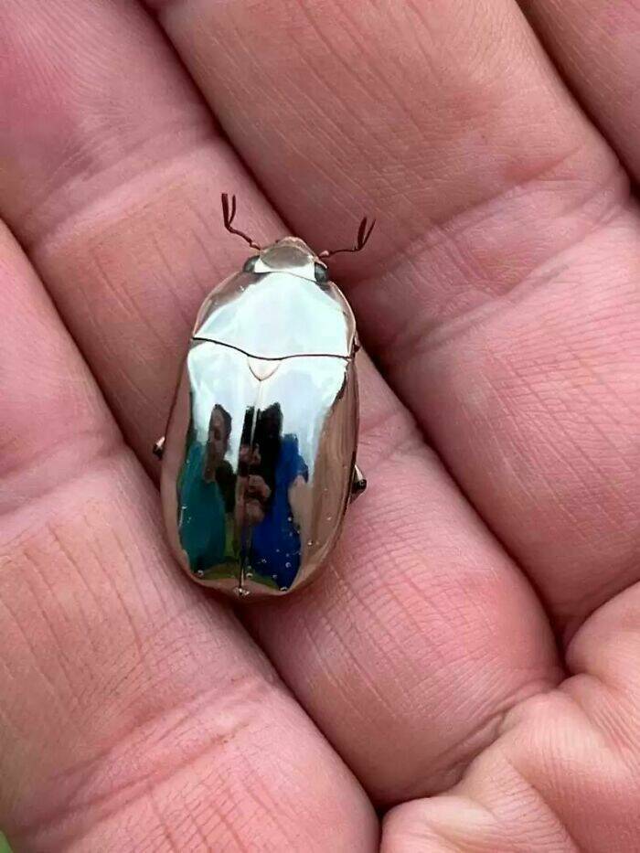 Awesome Finds (25 pics)