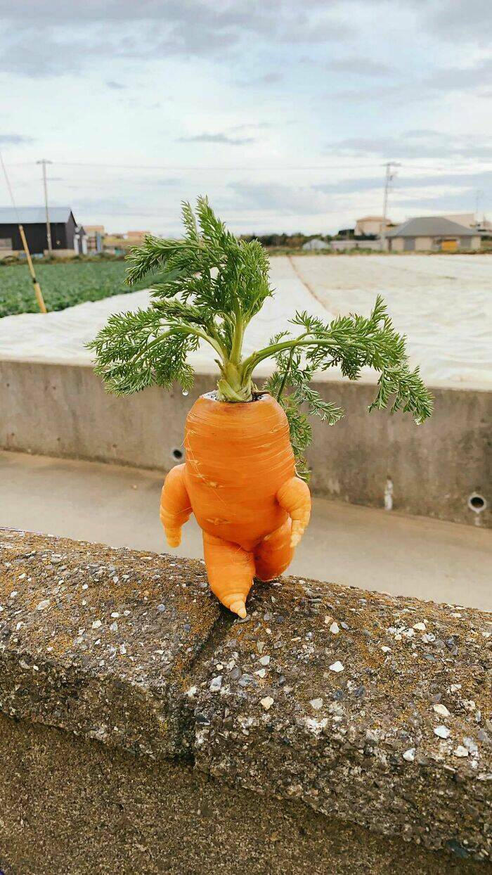 Awesome Finds (25 pics)