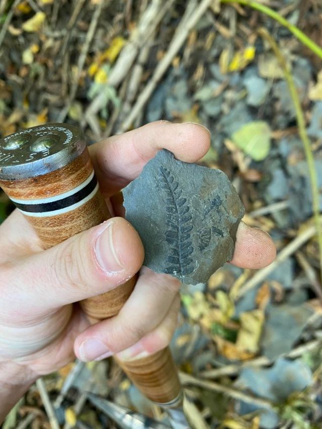 Interesting Finds (20 pics)