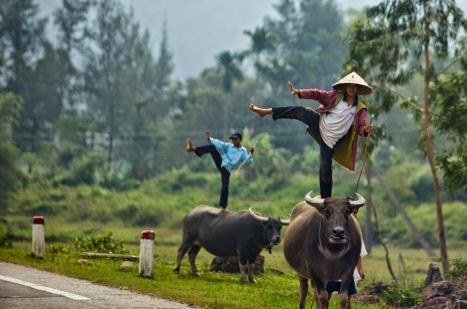 Strange Photos From Asian Countries (16 pics)