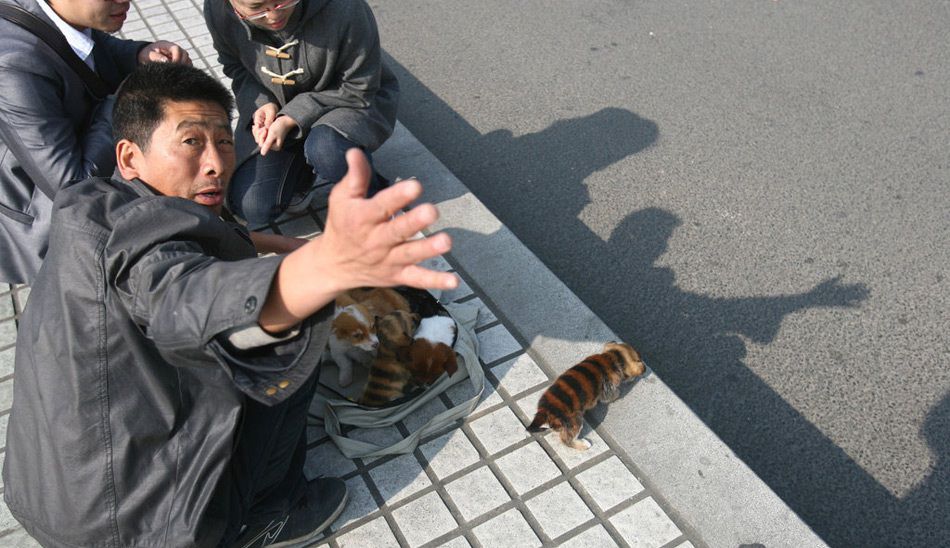 Strange Photos From Asian Countries (16 pics)