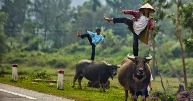 Strange Photos From Asian Countries (16 pics)