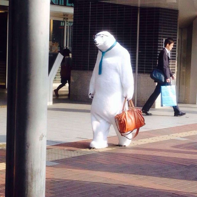 What Is Going On Here? (17 pics)