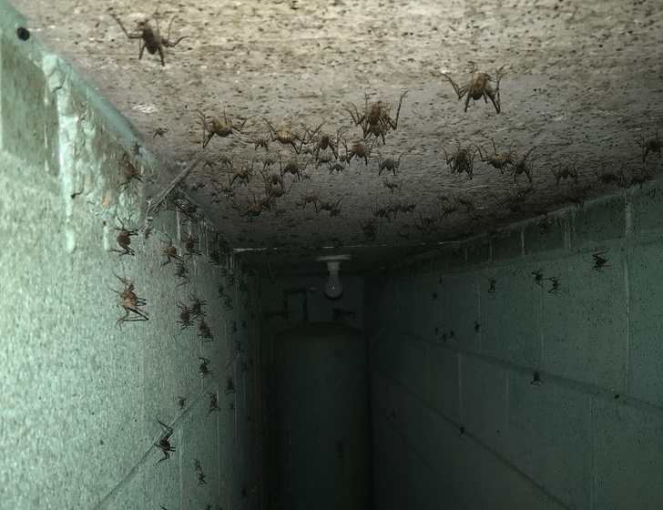 Scary Photos (20 pics)