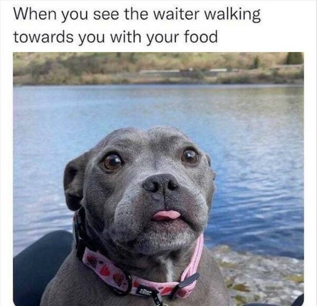 Daily Pictures. Part 2 (61 pics)