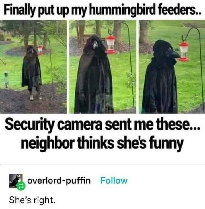 Daily Pictures. Part 2 (61 pics)