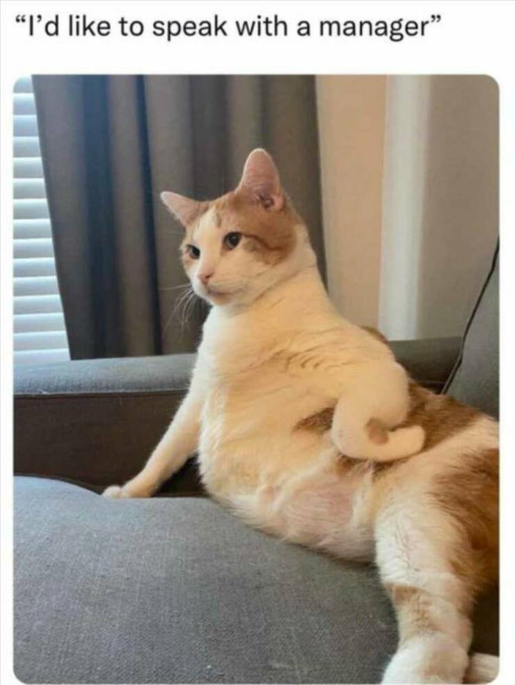 Daily Pictures. Part 2 (61 pics)