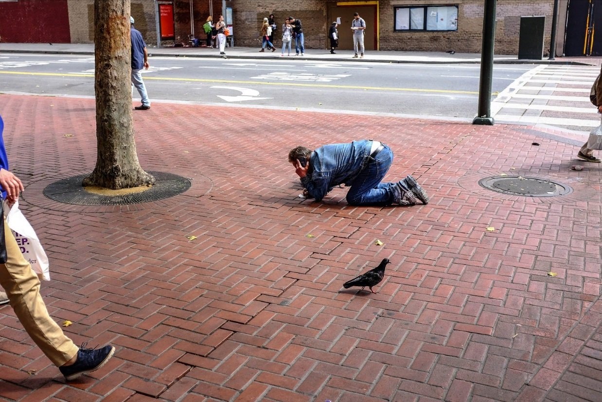 What Is Going On Here? (20 pics)