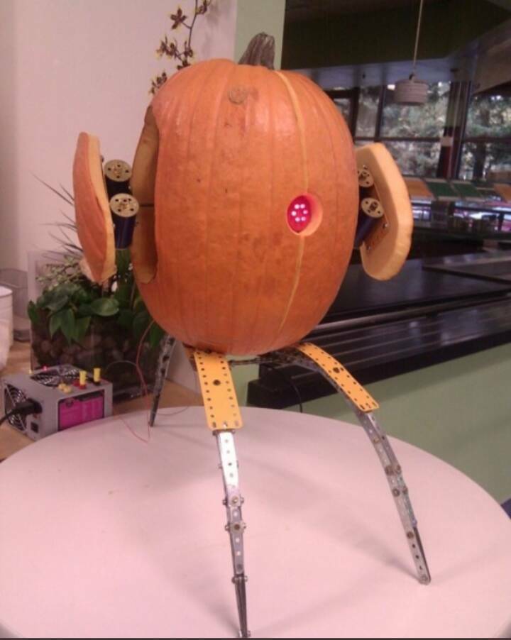 Daily Pictures. Part 2 (55 pics)