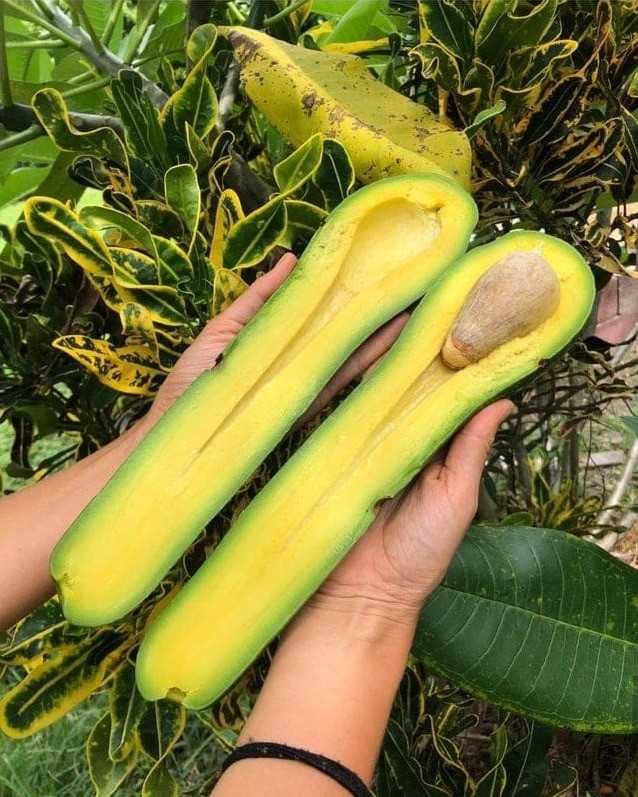 Huge Finds (18 pics)