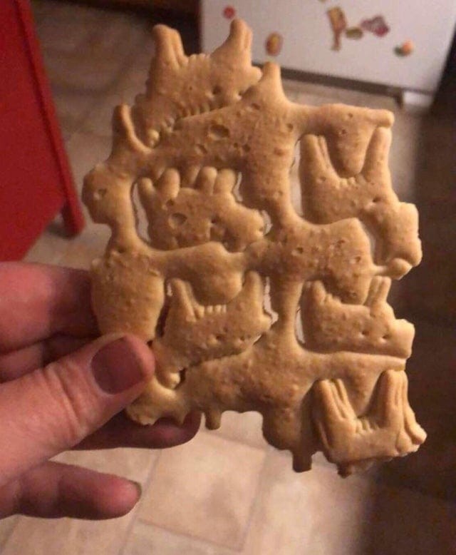 Huge Finds (18 pics)