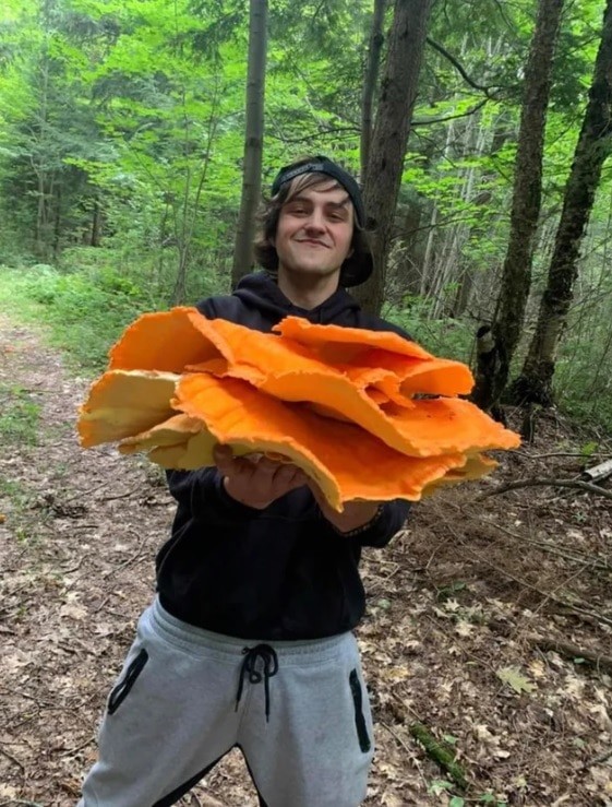 People Find Giant Mushrooms (17 pics)