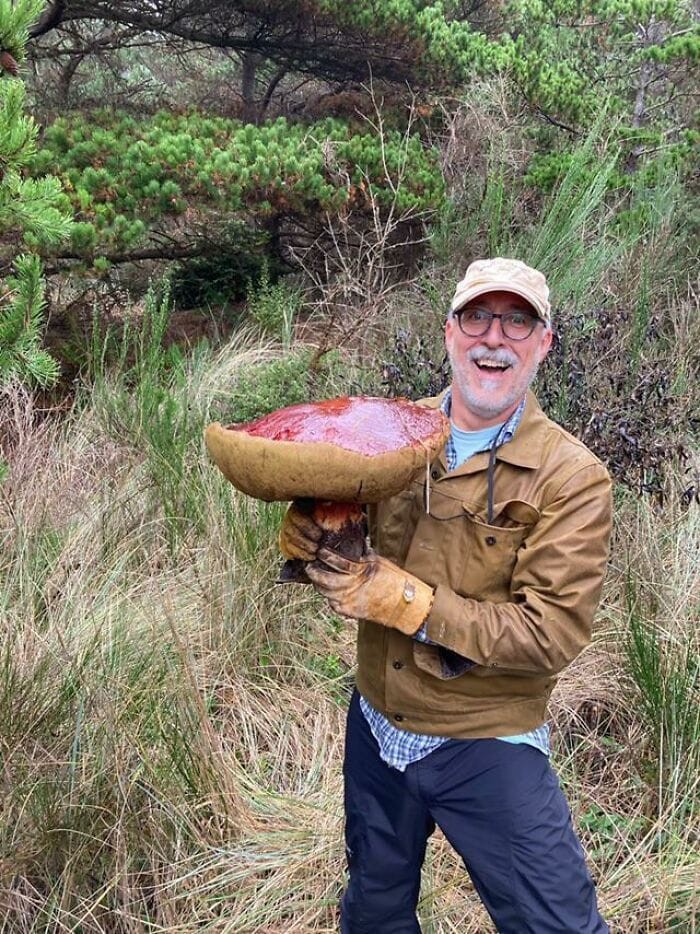 People Find Giant Mushrooms (17 pics)