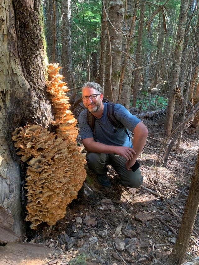 People Find Giant Mushrooms (17 pics)