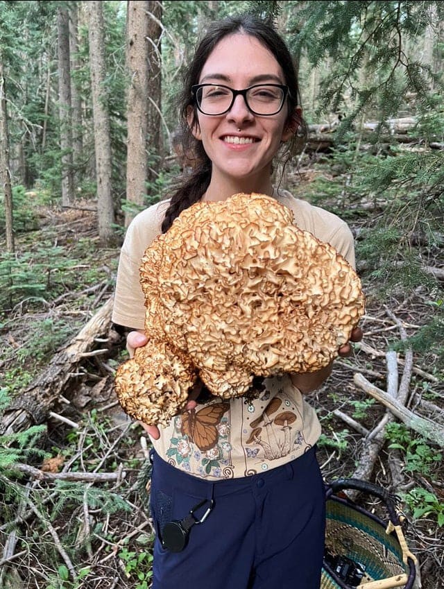 People Find Giant Mushrooms (17 pics)