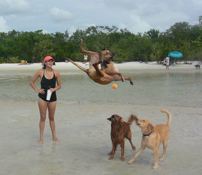 Right Moment (19 pics)