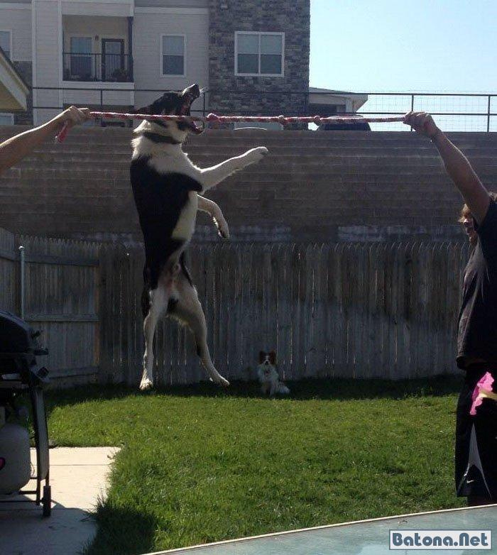 Right Moment (19 pics)