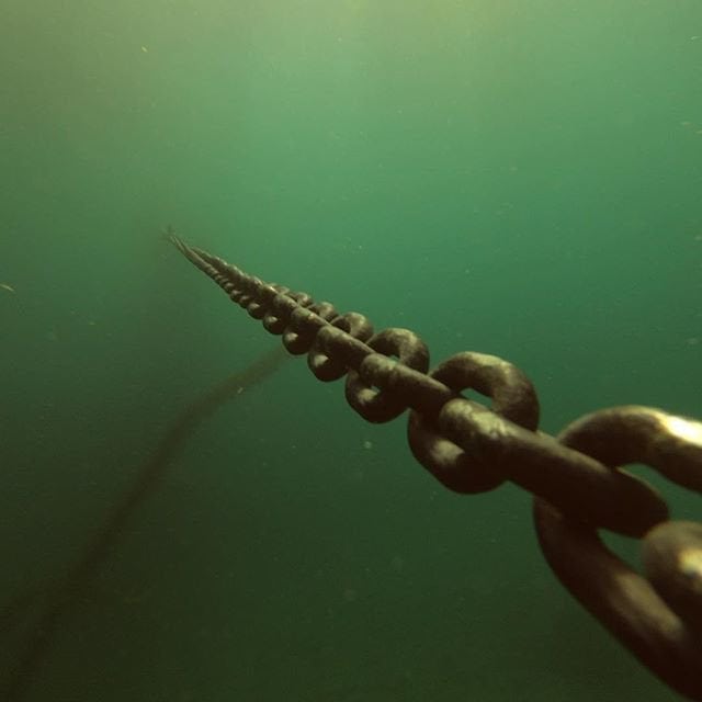 Beautiful Underwater Photos (17 pics)