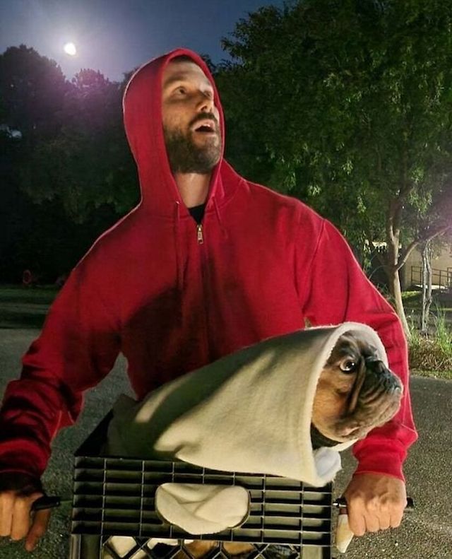 Funny Halloween Costumes For Animals (32 pics)