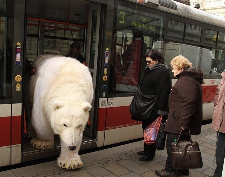 What Is Going On Here? (17 pics)
