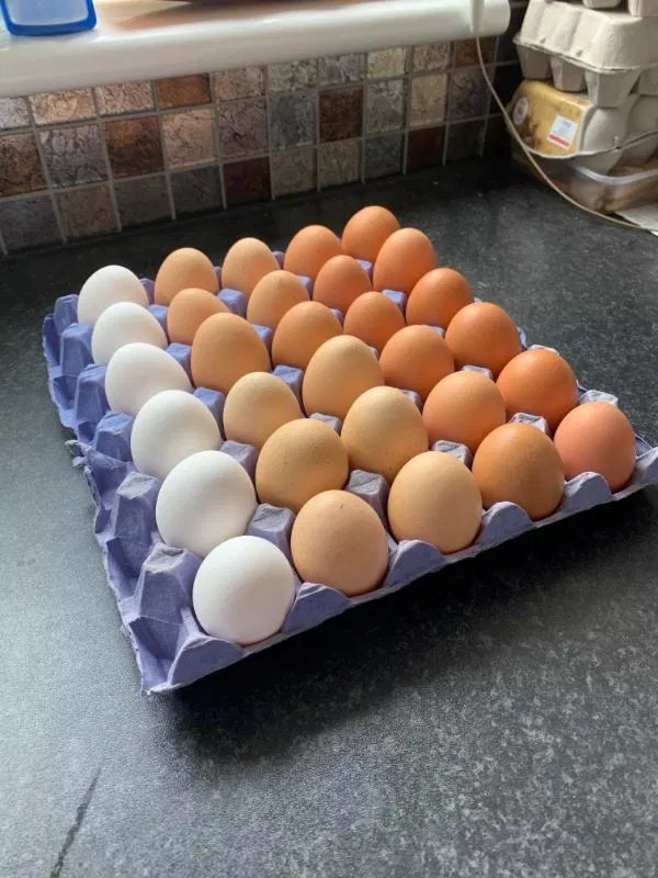 Photos For Perfectionists (20 pics)