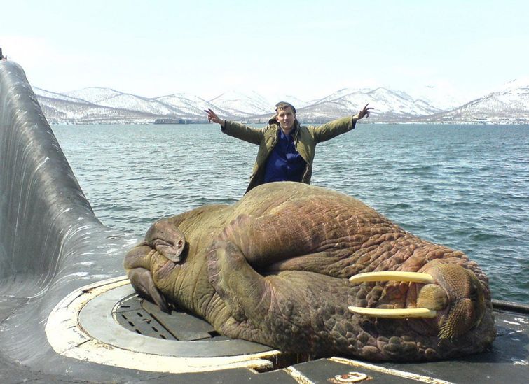 Huge Things (25 pics)