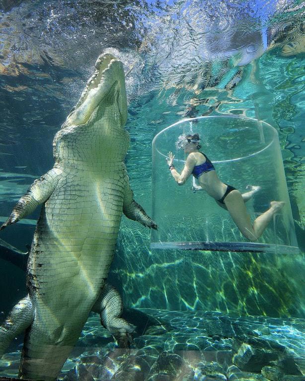 Huge Things (25 pics)