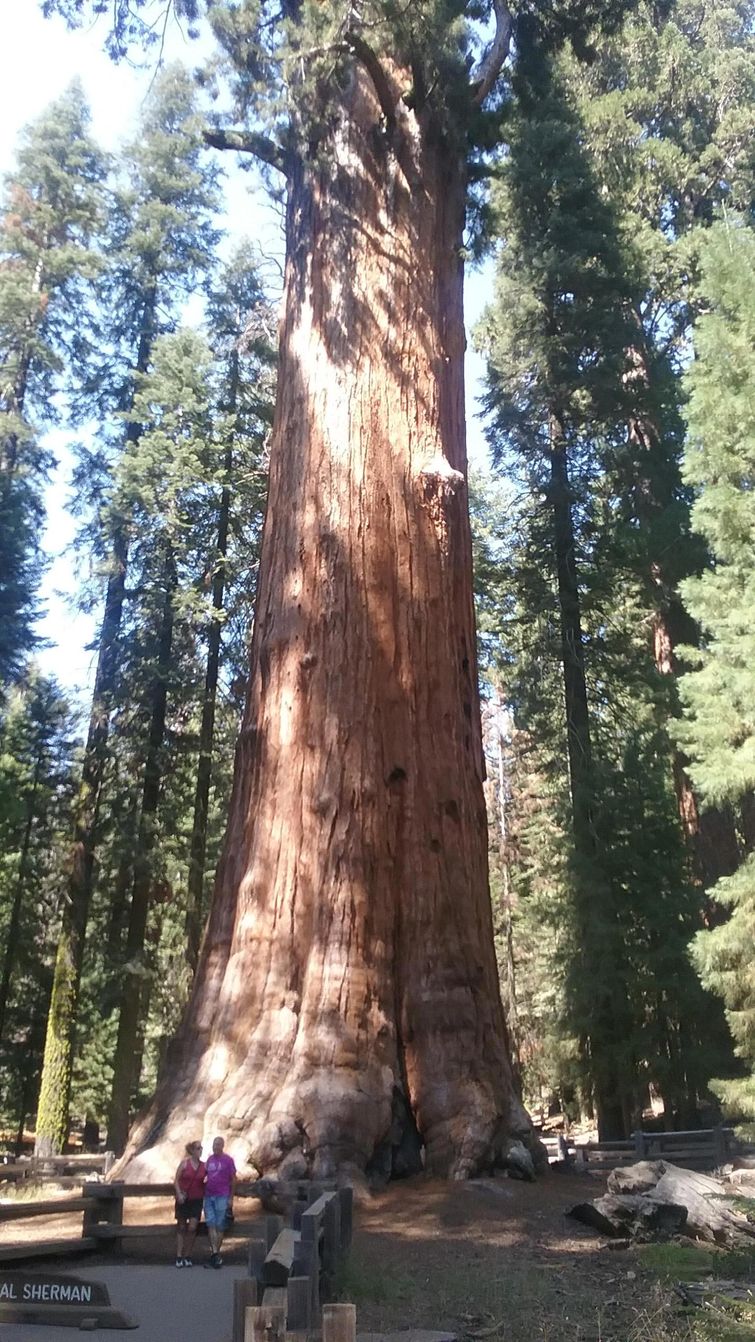 Huge Things (25 pics)