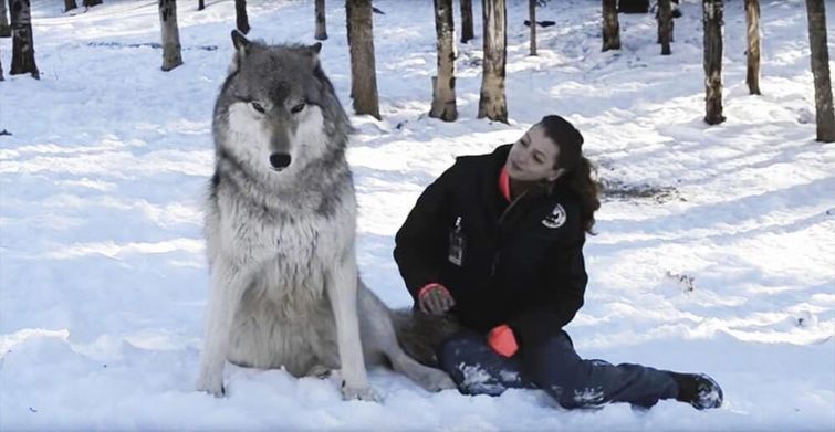Huge Things (25 pics)