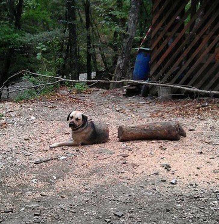 Optical Illusions (19 pics)