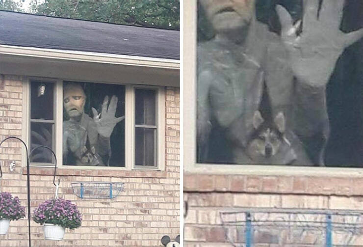 Halloween Decorations (16 pics)