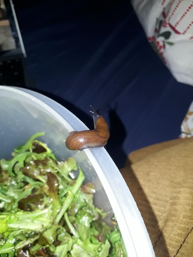 Bad Days Happen (19 pics)