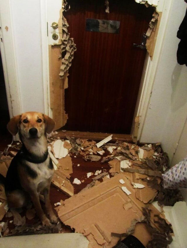 Bad Days Happen (19 pics)