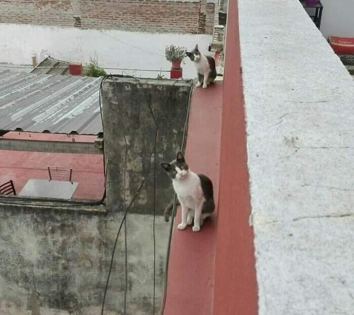 Funny And Unexpected Coincidences (26 pics)