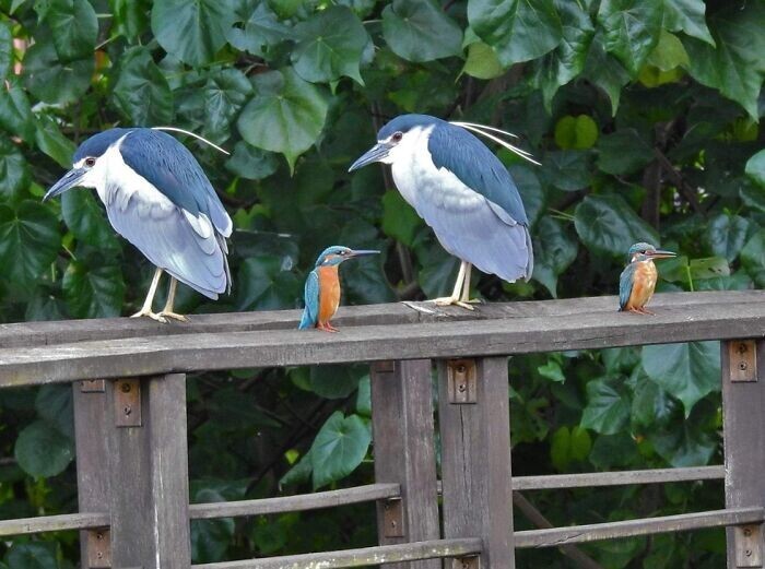 Funny And Unexpected Coincidences (26 pics)