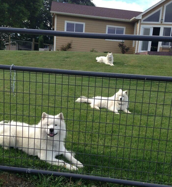 Funny And Unexpected Coincidences (26 pics)