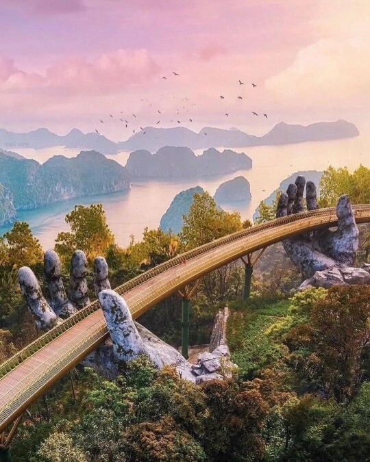 Beautiful Finds (14 pics)