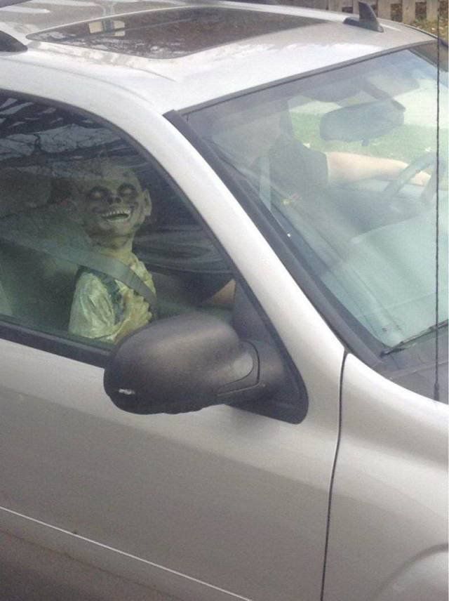 What Is Going On Here? (53 pics)