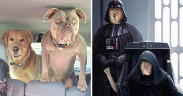 Funny Photoshop (15 pics)