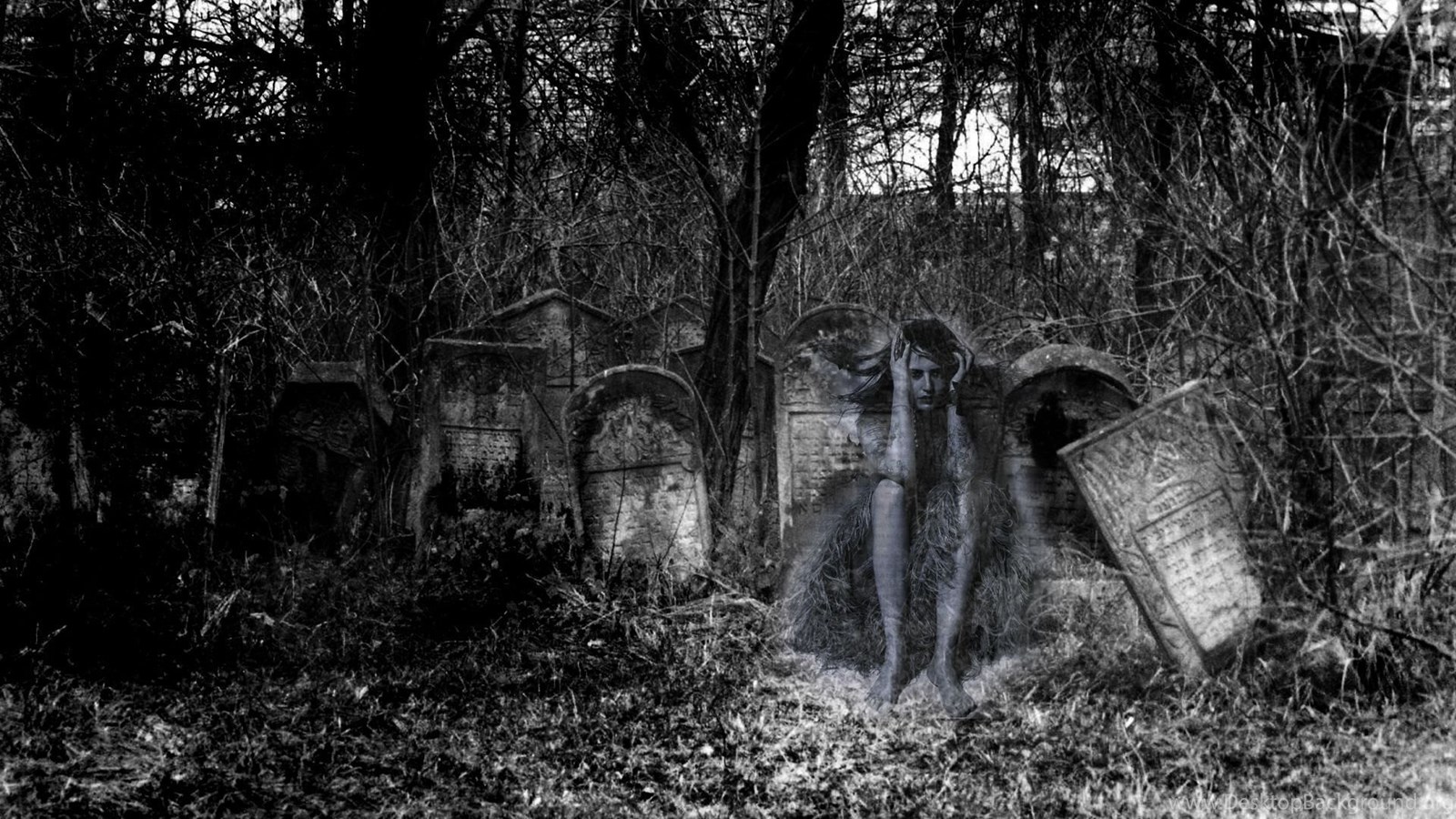 Scary Photos (20 pics)