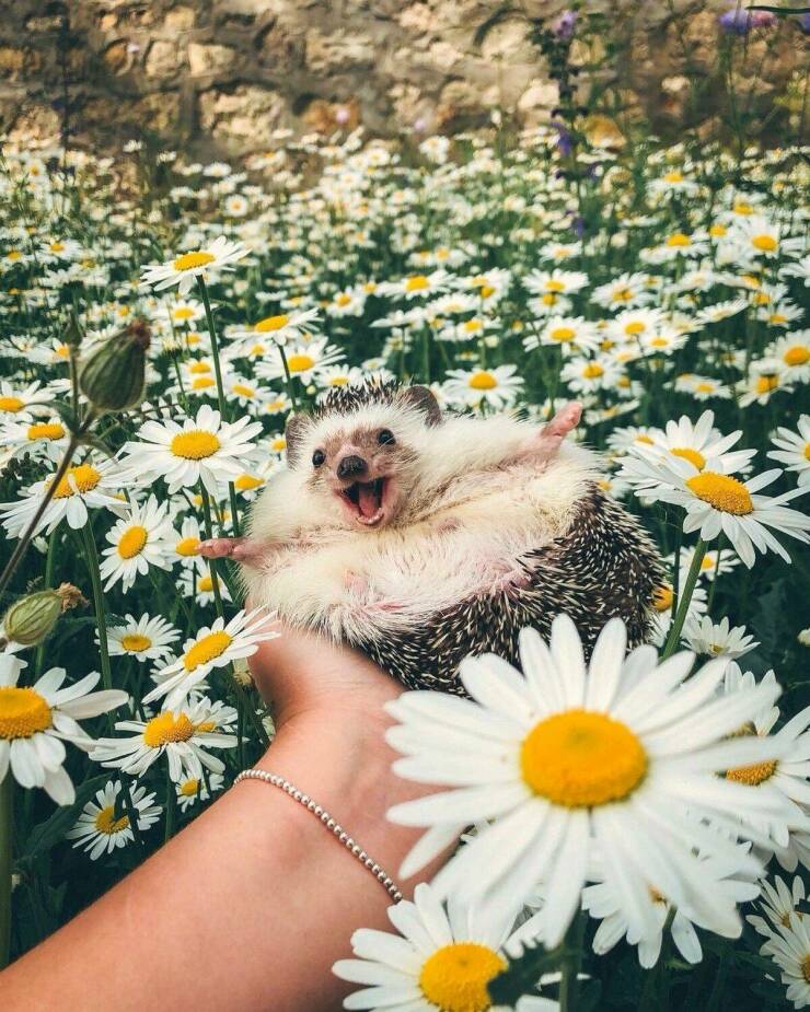 Daily Pictures. Part 1 (61 pics)