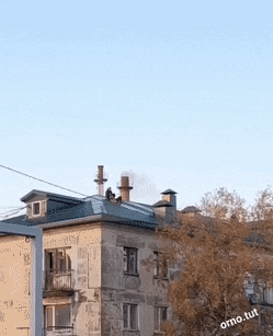 Acid GIFs, October 27 (25 gifs)