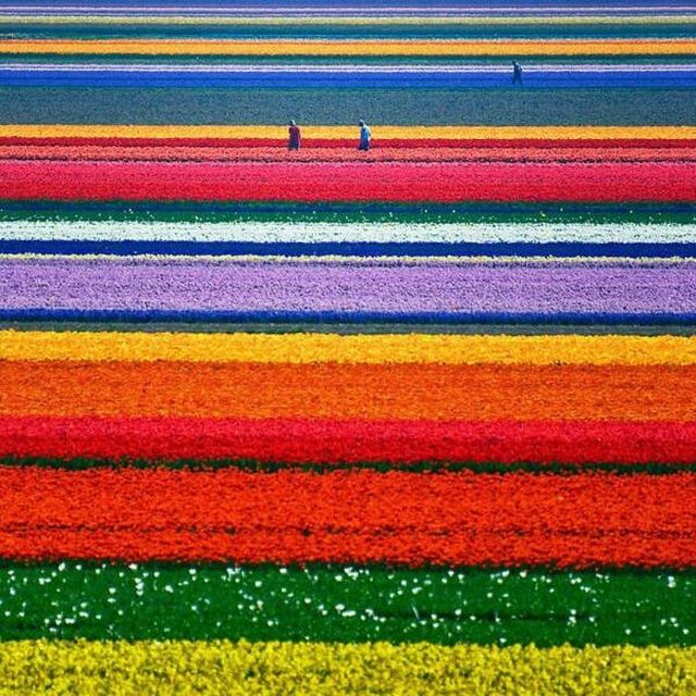 Photos For Perfectionists (30 pics)