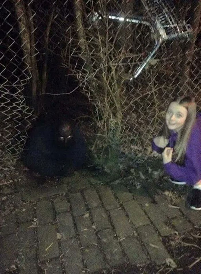 Weird Finds And Situations (24 pics)