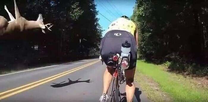 Weird Finds And Situations (24 pics)