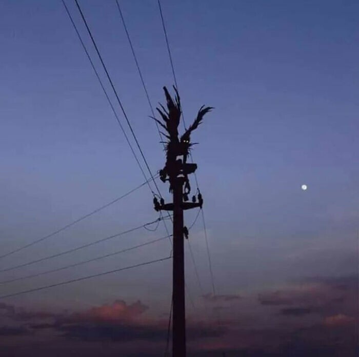 Weird Finds And Situations (24 pics)