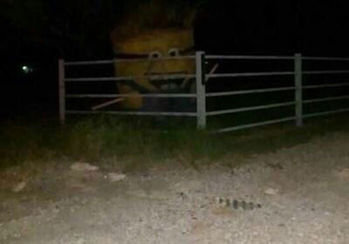Weird Finds And Situations (24 pics)
