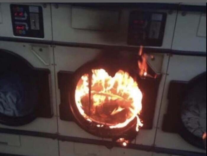 Weird Finds And Situations (24 pics)
