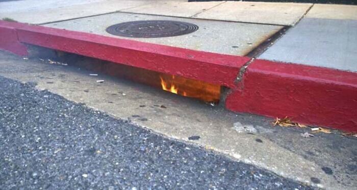 Weird Finds And Situations (24 pics)